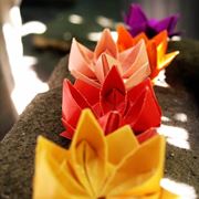 Origami Fiore Di Loto Fiori Di Carta Come Fare Fiori Di Carta Con Un Origami Fiore Di Loto