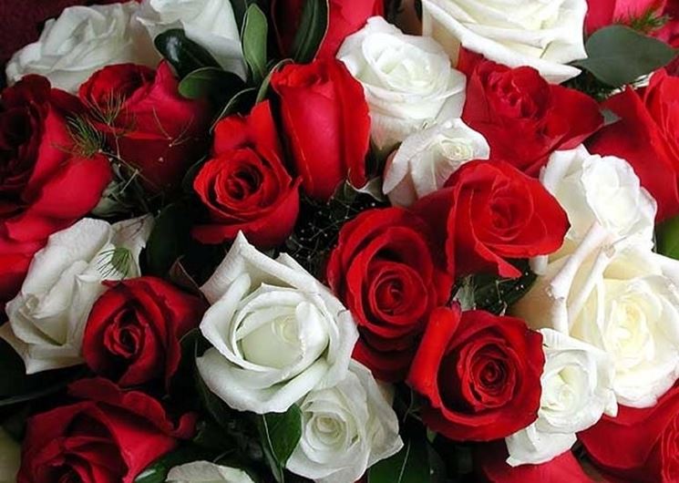 bouquet di rose rosse e bianche