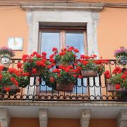 Balcone artisticamente fiorito