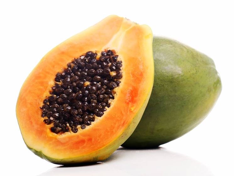 Frutto albero papaya