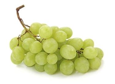 uva bianca