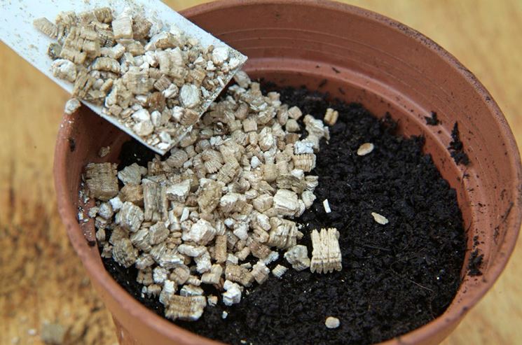 Vermiculite semenzai orti