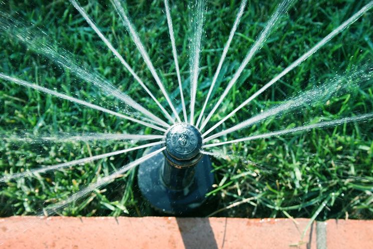Gocciolatore per irrigazione a goccia