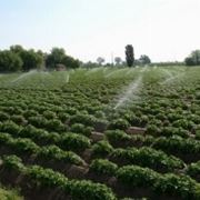 impianto irrigazione fuori terra