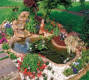 giardino con acqua