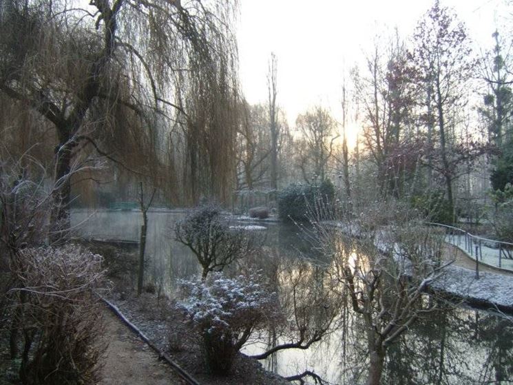 Il giardino che ispirò Monet