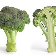 Broccolo e sua sezione