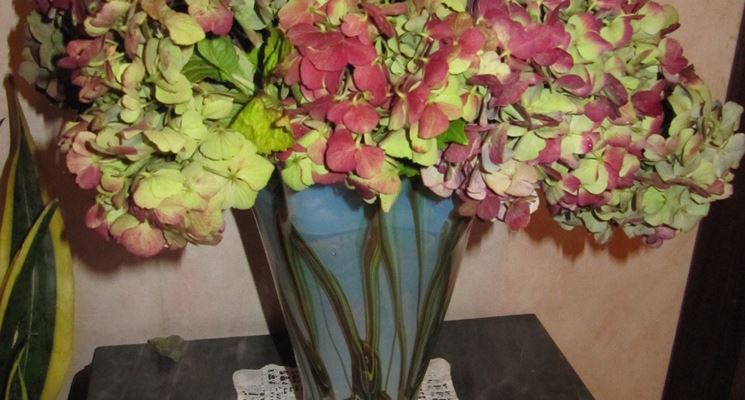 Bouquet di ortensie