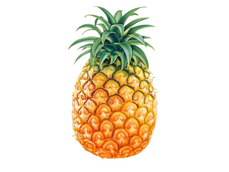 il frutto dell'ananas
