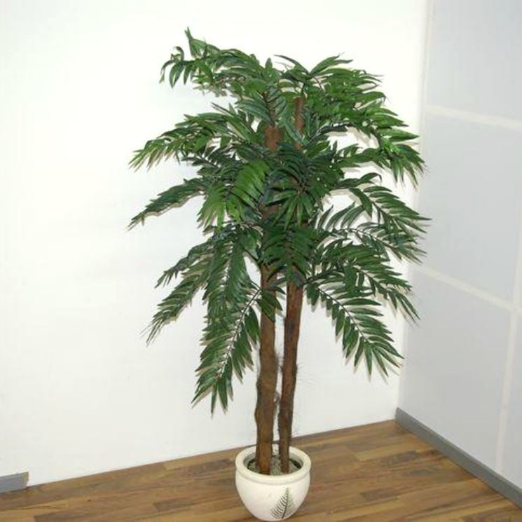 Areca artificiale