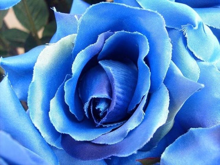 Huaao 12pcs Calla Artificiali In Lattice Bianco Vero Tocco